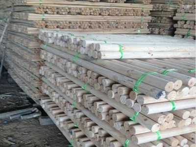 久盛建材  绿化杆 多种树木撑杆  落叶松小杆