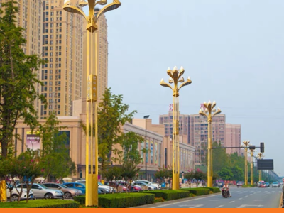 6米庭院灯道路中式景观灯中华灯广场灯LED光源