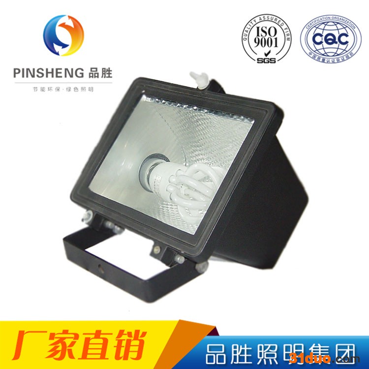 品胜PS **LED投光灯 照射灯 泛光灯 景观亮化灯具