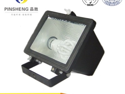 品胜PS **LED投光灯 照射灯 泛光灯 景观亮化灯具
