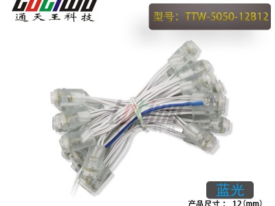 供应12V12MM蓝光外露灯串 贴片5050广告灯串 穿孔字灯串 LED外露灯串 LED灯串 led外露灯串