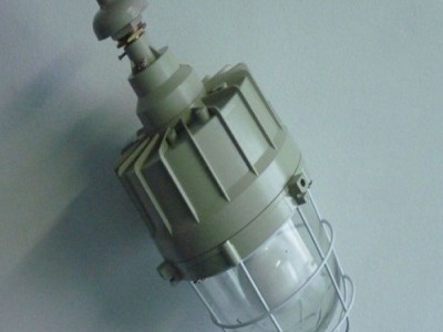 防爆灯 冷库灯 天日LED防爆工厂灯壁式