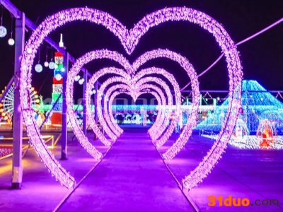 各种灯光节造型灯定制厂家，承办大型灯光节，LED装饰灯、户外装饰灯、装饰造型灯，造型灯可定制