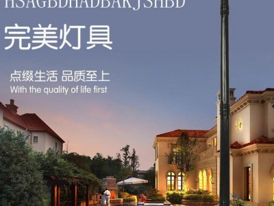 新农村公园小区户外3米庭院灯 户外景观灯LED高杆路灯庭院灯路灯