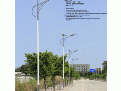 【赛克赛思】新款LED太阳能路灯太阳能投光灯挑臂灯庭院灯厂家批发新农村路灯