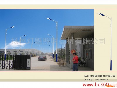 巾帼  供应定做道路照明灯、灯杆、厂区灯、灯杆灯柱 定做灯杆