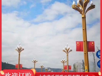 黄氏照明  中华灯 景观中华灯 户外中华灯