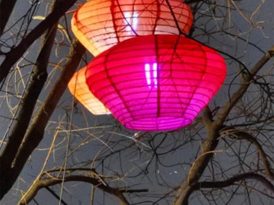 网红灯笼,西安亮化,树木亮化灯,祈福灯笼,春节彩灯