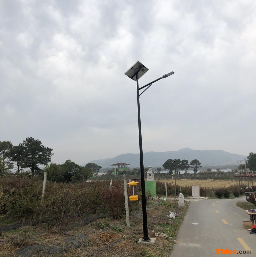 金庄稼 太阳能杀虫灯杀虫灯价格 频振式太阳能杀虫灯  杀虫灯厂家 果园杀虫灯