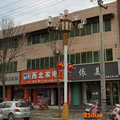 华冠照明 西安中华灯厂家 中华灯路灯 中华灯配件 造型美观