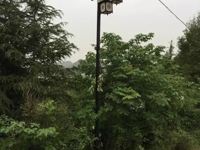 常州FNZH/伍玖照明FNZH庭院灯 小区庭院灯 太阳能庭院灯 庭院灯厂家 LED庭院灯 景观灯 路灯 新农村路灯