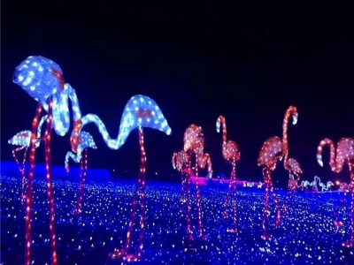 东胜工艺 灯会 彩灯梦幻灯光节产品造型灯led动物火烈鸟灯光秀道具租售定制