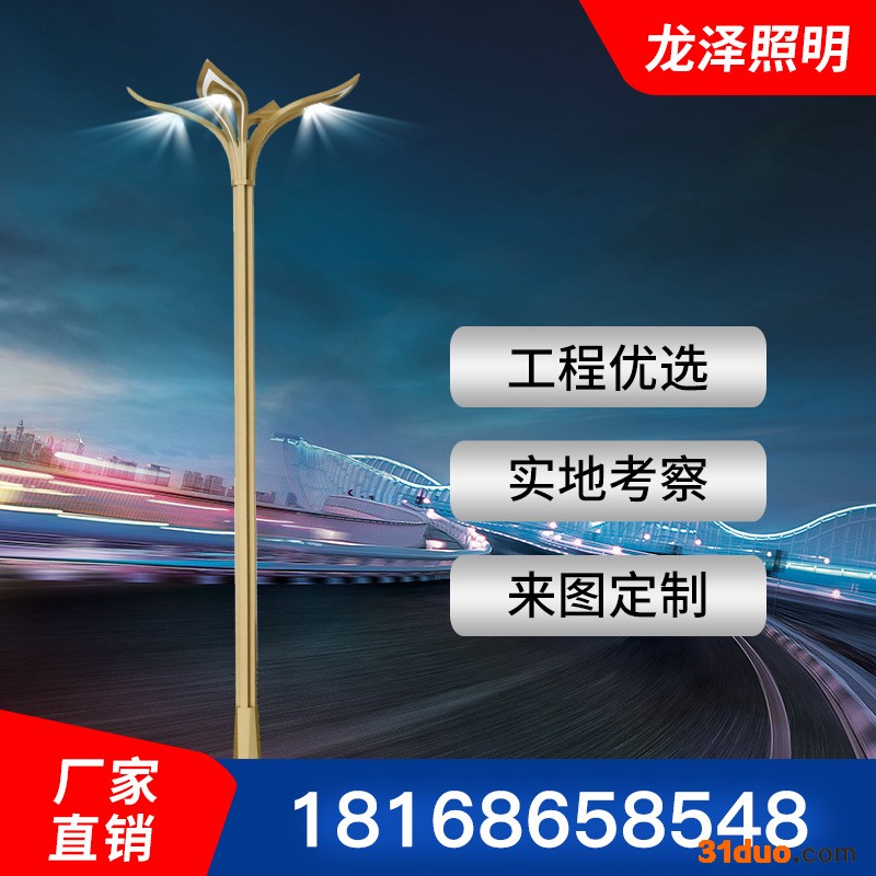 龙泽**广场组合灯玉兰灯 户外道路照明组合灯LED灯定制批发