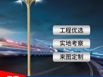 龙泽**广场组合灯玉兰灯 户外道路照明组合灯LED灯定制批发