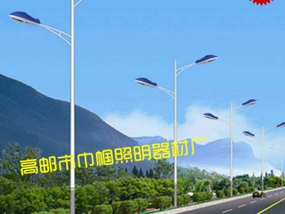 供应户外led路灯 30w飞机灯 双臂路灯 新农村led路灯生产厂家