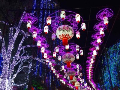 灯展LED灯饰策划设计制作厂家 长廊花灯彩灯亮化工程  自贡出租电话