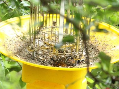 尚科杀虫灯 频振式农用灯批发 茶园果园交流电灭虫灯诱虫灯杀虫灯SK-SZ028