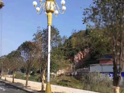 大照 中华灯 造型灯 大型景观路灯 LED路灯 厂家定制