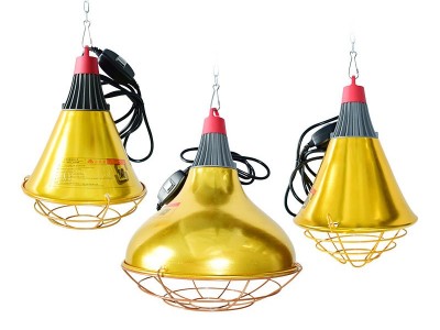 保温灯灯罩加热仔猪小鸡苗养殖用 可调温度节能取暖灯保温灯灯罩