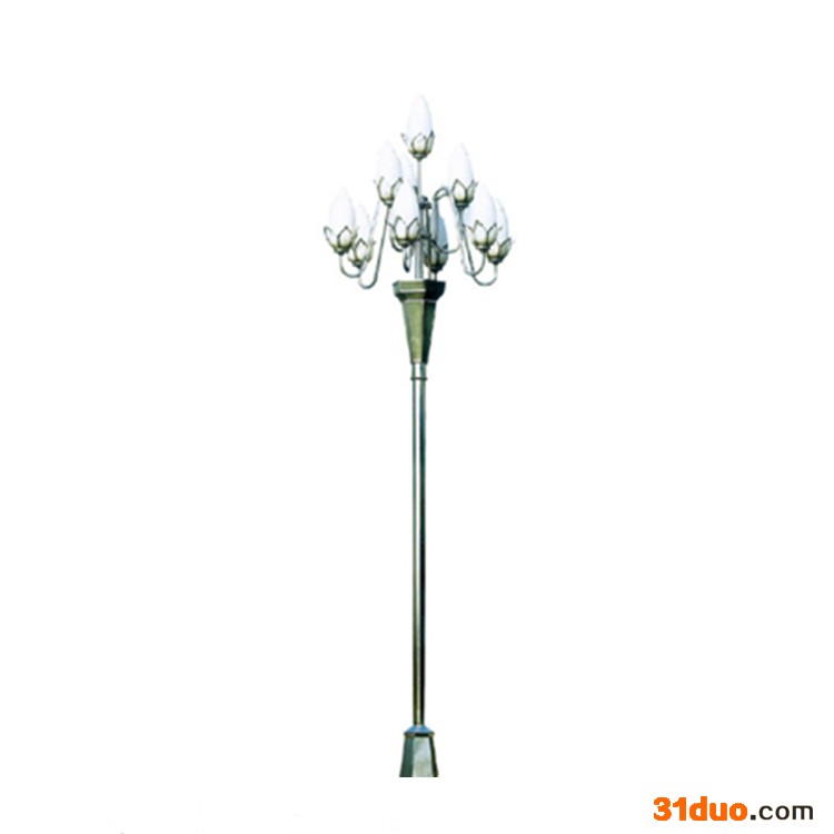 供应定做组合灯 异型灯 景观灯 庭院灯 多种类照明路灯 专业厂家 造型美观做工精细使用寿命长 路灯批发