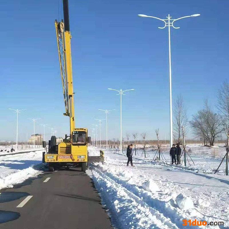 畅园cyzm 市电路灯 市电LED路灯 小区市电路灯 景区市电路灯 双臂太阳能路灯