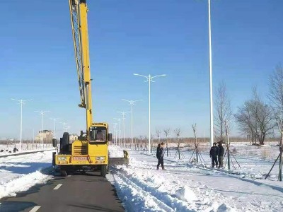 畅园cyzm 市电路灯 市电LED路灯 小区市电路灯 景区市电路灯 双臂太阳能路灯