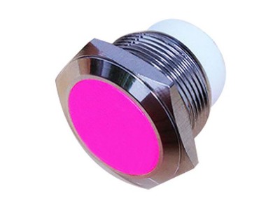 PBM-22 指示灯德崧D·SWITCH金属双色信号灯 设备指示灯 防水型指示灯 LDE灯