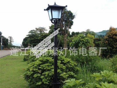 庭院灯 led户外庭院灯 3.5米户外灯