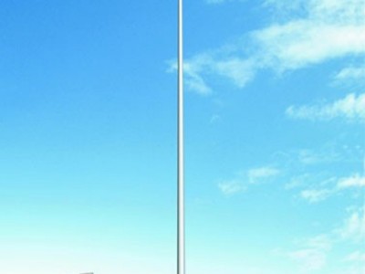 畅园玉兰灯 市电玉兰灯 玉兰灯批发 玉兰灯价格