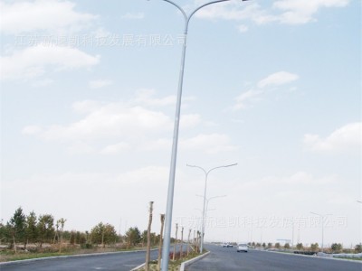 定制 双连杆城市路灯双臂道路照明灯 新型**道路双挑路灯杆 LED路灯