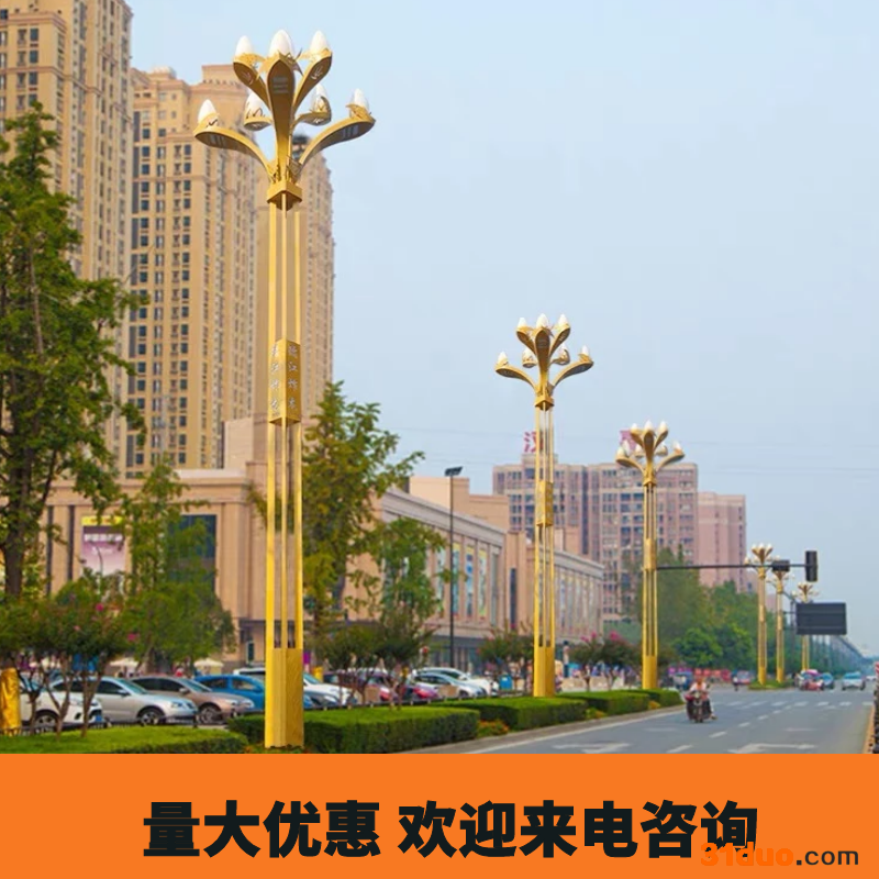 YH-005 景观灯8米中华灯户外LED大功率庭院中华灯