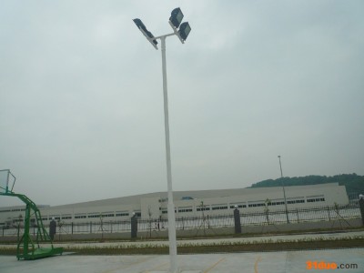 供应大妙光039单臂路灯 篮球场8米路灯 路灯配件 灯杆 太阳能路灯杆