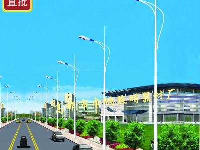 巾帼 供应高压钠灯路灯250w  Q235热轧板巾帼钠灯   9米路灯金琵琶路灯头