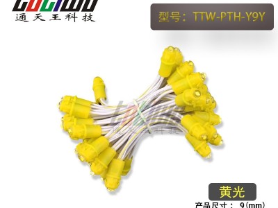 供应5V12V9MM黄胶黄光外露灯串 广告灯串 穿孔字灯串 LED外露灯串 LED灯串