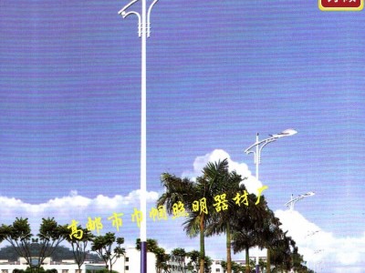 巾帼  保修质量保证7米led路灯灯杆 led路灯杆灯杆供应