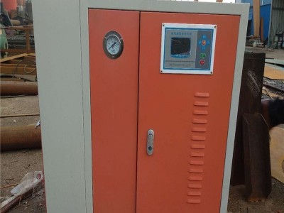 鲁通CWDR 山东乐陵全自动**电热锅炉 纺织印染用电热蒸汽锅炉