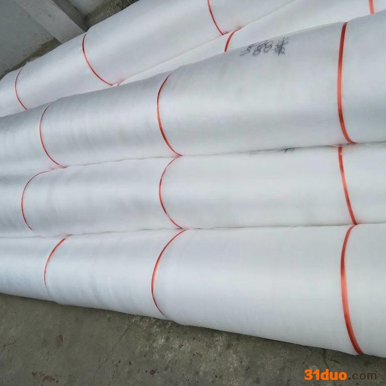 山东蔬菜大棚防虫网 飞越纺织防虫网 防虫网罩 尼龙防虫网  各种目数加工定制