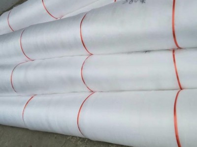 山东蔬菜大棚防虫网 飞越纺织防虫网 防虫网罩 尼龙防虫网  各种目数加工定制