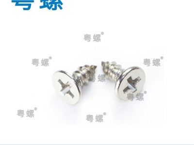 不锈钢螺丝厂 汕尾自攻螺钉 五金螺栓厂 粤螺304螺栓