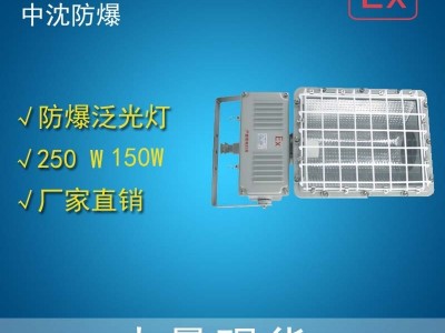 中沈防爆BAT53 防爆泛光灯BAT53-QL85含高频无极灯85W