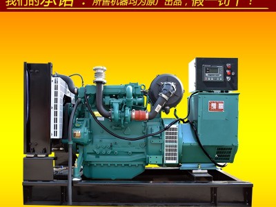 柴油发电机 潍柴发电机 50kw道依茨发电机 50kw潍柴柴油发电机组 50kwATS自动化柴油发电机 双电源自动转换