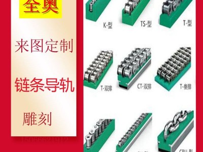 山东全奥CKG链条导轨加工 CKG08B链条导轨  绿色链条导轨