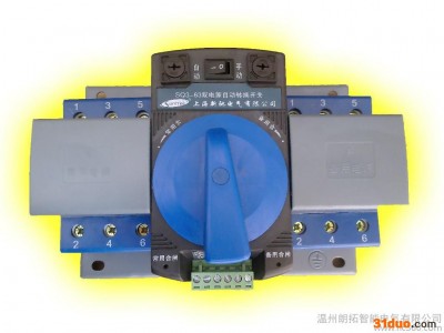 供应上海新驰LQ3微端型63A双电源