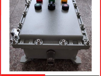 防雨型防爆电表箱 防爆检修箱