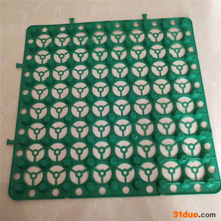 批发车库 绿化排水板 通风防潮 塑料排水板 屋顶绿化专用蓄排水板