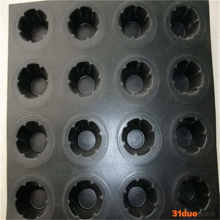 蓄排水板 屋顶绿化塑料排水板 室内种植 防水 车库顶板绿化排水板