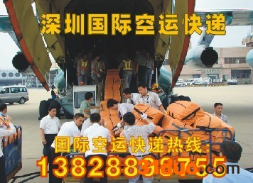 深圳到美国西雅图的物流专线，东莞、广州到美国SEATTLE（西雅图）的海运空运物流专线