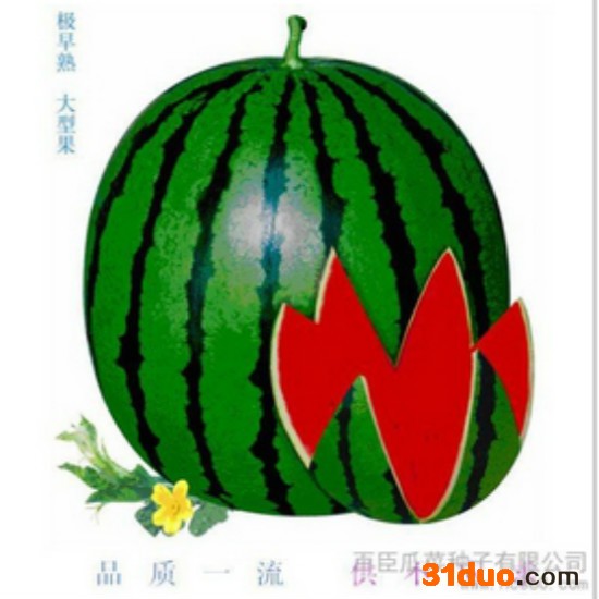 供应百臣西瓜种子百臣雷神早熟高产抗病耐储运抗重茬 农作物种子