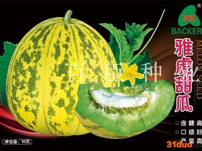 百臣雅虎甜瓜种子香瓜种子高产超甜抗病强每袋10克500多粒甜瓜种子适合露地大棚种植可吊蔓可地爬买种子赠送技术光碟