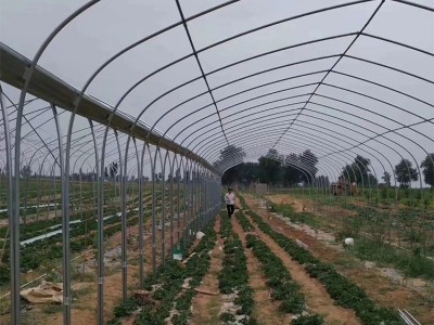 PE温室大棚配件 芽苗菜种植架配件 蔬菜花卉大棚配件 暖房花房 花园温室